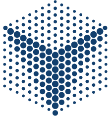 VinBigData JSC, VinGroup